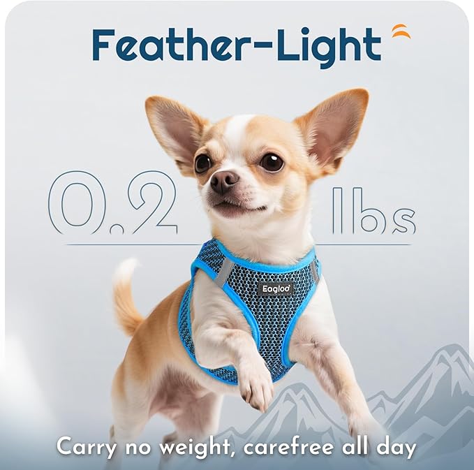 Eagloo Small Dog Harness and Leash Set, Step in Puppy Vest with Breathable Soft Mesh, Walking Reflective Pet Harness for Medium Small Dogs, Blue, L