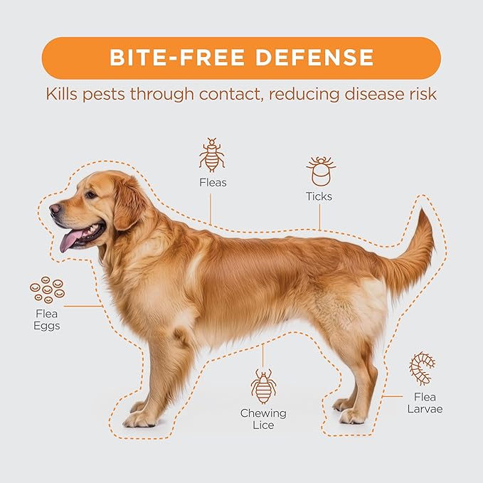 FirstAct Plus Flea Treatment for Dogs, Small Dogs 6-22 lbs, 3 Doses, Same Active Ingredients as Frontline Plus Flea and Tick Prevention for Dogs
