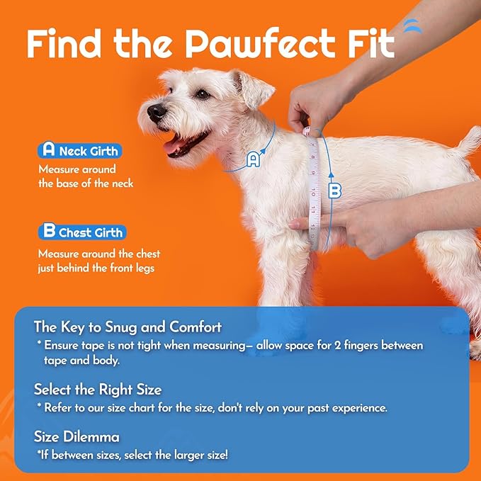 Eagloo Small Dog Harness and Leash Set, Step in Puppy Vest with Breathable Soft Mesh, Walking Reflective Pet Harness for Small Dogs, Orange, M