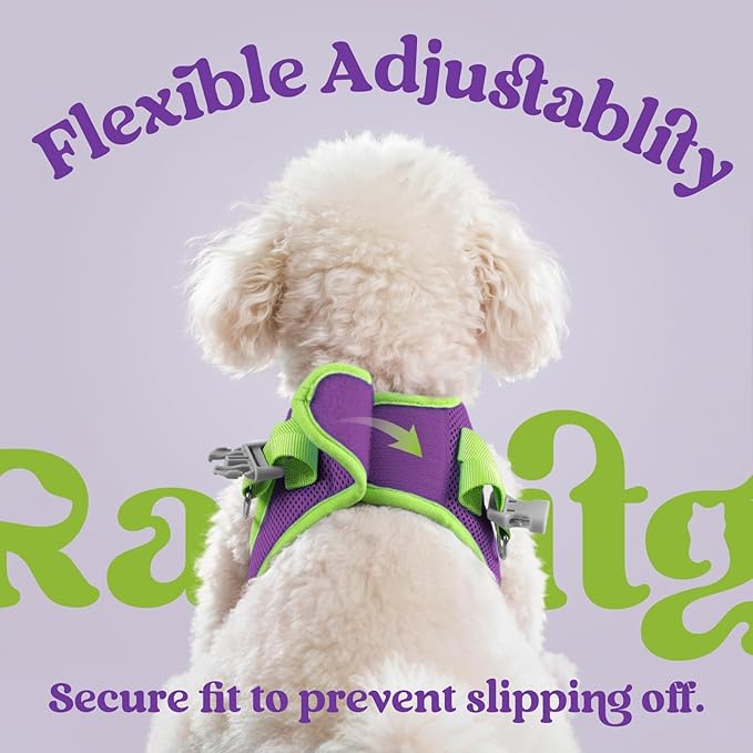 rabbitgoo Dog Harness Small Sized and Leash Set, Step-in Breathable Pet Harness, Soft Walking Reflective Puppy Vest for Small Dogs, Purple & Green, L