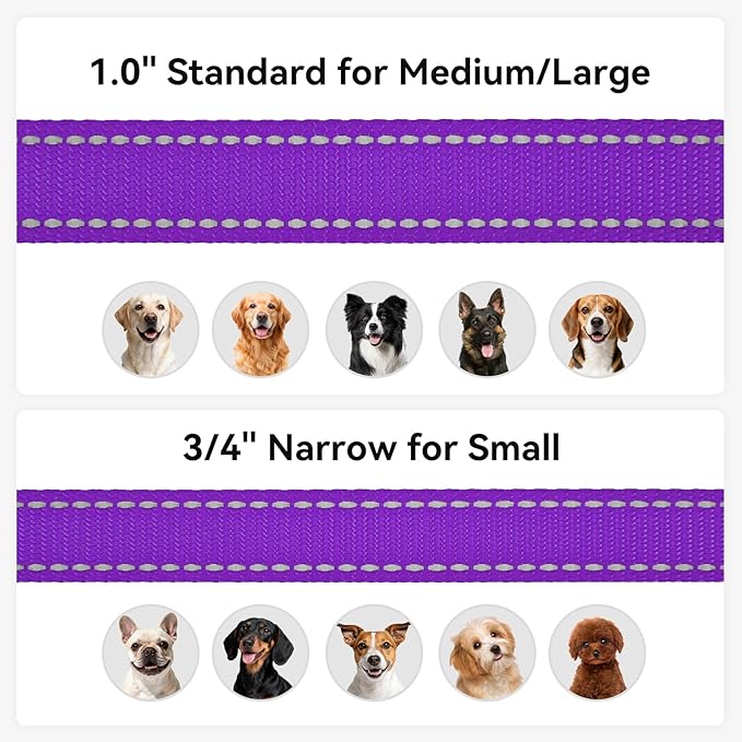 Joytale Dog Leash, 6 FT Double-Sided Reflective, Padded Handle Nylon Heavy Duty Leashes for Small Dogs Walking, Purple