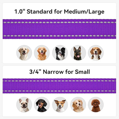 Joytale Dog Leash, 5 FT Double-Sided Reflective, Padded Handle Nylon Heavy Duty Leashes for Small Dogs Walking, Purple