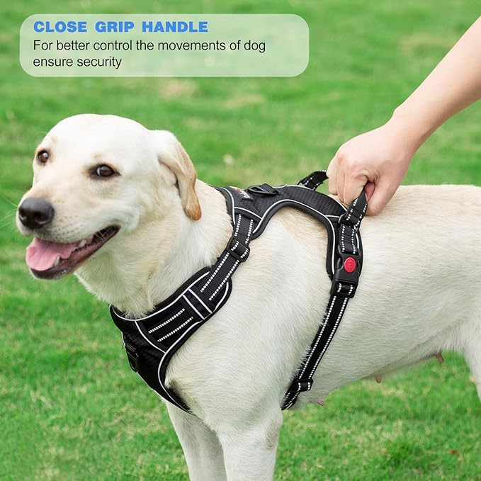 No Pull Dog Harness Adjustable Reflective Oxford Easy Control Medium Large Dog Harness with A Free Heavy Duty 5ft Dog Leash (S (Neck: 13"-18", Chest: 17.5"-22"), Pink Harness+Leash)