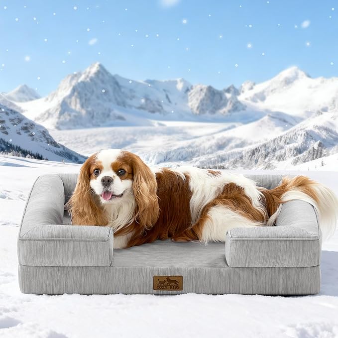 Cooling Dog Bed for Medium Small Size Dogs, Q-Max >0.4 Summer Cool Pet Bed, Orthopedic Foam Dog Sofa with Sides, Bolster Anti-Slip Couch with Washable Removable Cover, M 30x20x6 inch, Grey
