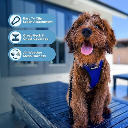 Best Pet Supplies Voyager Step-in Air Harness - All Weather Mesh, Reflective, No Pull Harness for Dogs, Cats - Secure with Hook & Loop Fastener, Buckle, Double D-Rings - Royal Blue/Black Trim, XXS