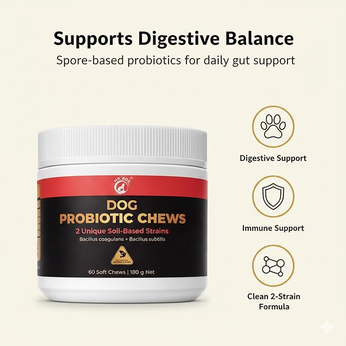 Dog Probiotic Chews for Digestive Support – 2 Billion CFU – Bacillus Coagulans & Subtilis – Supports Gut Health & Stool Quality – for Sensitive Stomachs – Salmon Flavor – 60 Soft Chews