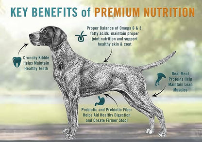 Chicken Soup for the Soul All Natural Premium Adult Dry Dog Food, Real Meat First Ingredient, No By-Products, Supports Gut & Immune Health, Chicken, Turkey & Brown Rice, 4.5lb
