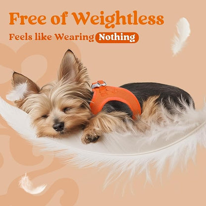 rabbitgoo Small Dog Harness, Step-in Soft Mesh Puppy Vest with Safety Buckle, Breathable Reflective Pet Harness for Small Sized Dogs, Orange M