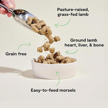 Open Farm Freeze Dried Raw Dog Food, Humanely Raised Meat Recipe with Non-GMO Superfoods and No Artificial Flavors or Preservatives (3.5 Ounce (Pack of 1), Pasture Raised Lamb)