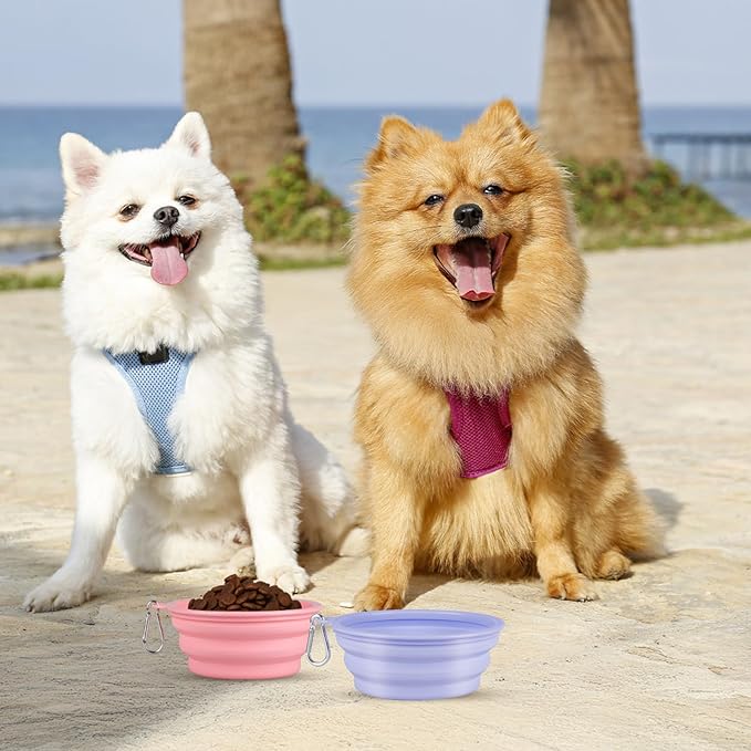 Kytely Collapsible Dog Bowls for Travel, 2Pack Dog Portable Water Bowl, Foldable Pet Food Bowl with Clasp, Pet Cat Feeding Cup Dish for Traveling, Walking, Hiking