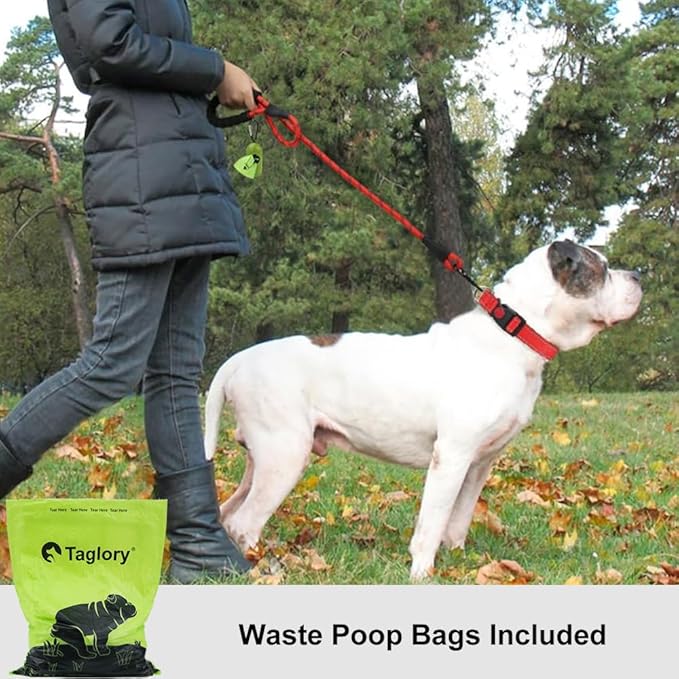Taglory Rope Dog Leash 6 FT with Comfortable Padded Handle, Highly Reflective Threads Leash and Anti-Tangle Clip for Walking Medium Large Dogs, 1/2 inch, Red