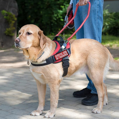 Pistha 12 Pieces Removable Service Dog Vest Patches Do Not Pet in Training Emotional Support Dog Vest Patches(3.6 x 1.6Inch)