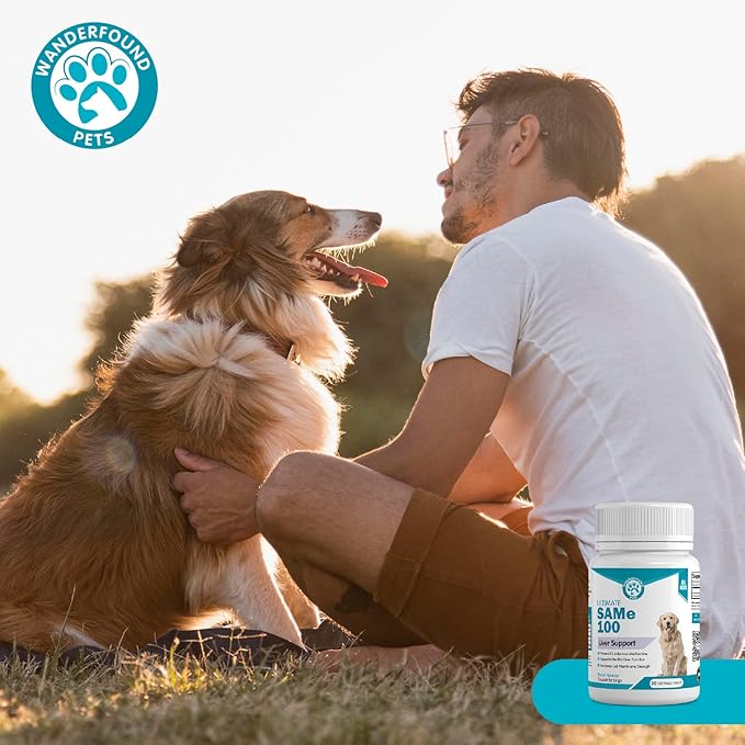 Wanderfound Pets Same 100 Liver Support for Dogs - Same S-Adenosyl-L-Methionine Hepatic Supplement for Liver & Brain Support - Bacon Flavored Sam E, Manufactured in the USA - 30 Chewable Tablets