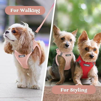 rabbitgoo Small Dog Harness, Step-in Soft Mesh Puppy Vest with Safety Buckle, Breathable Reflective Pet Harness for Small Sized Dogs, Pink S