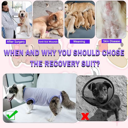 Dog Surgery Recovery Suit for Male Female, Spay Neuter Cone Alternative Surgical Onesie, Purple, Large