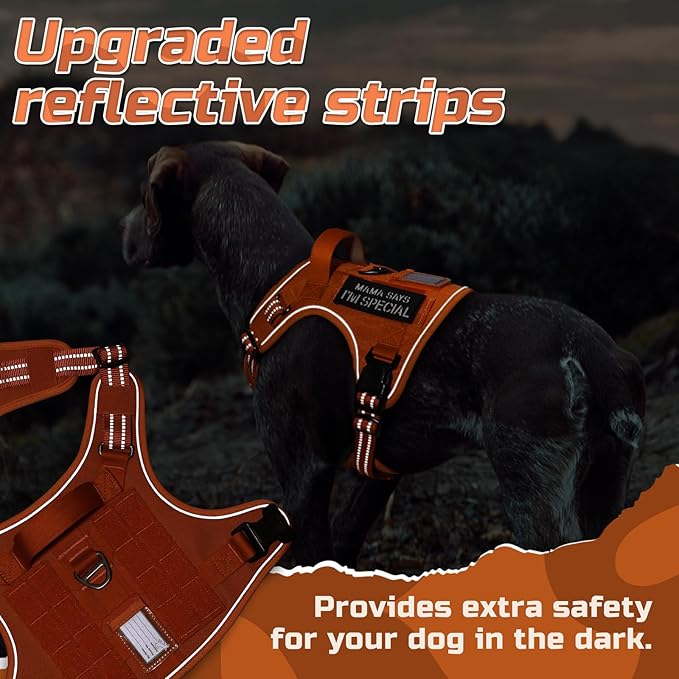 rabbitgoo Tactical Dog Harness for Small Dogs, No Pull Military Service Vest with Handle & Molle, Easy Control for Training Walking, Adjustable Reflective Straps, Orange, S