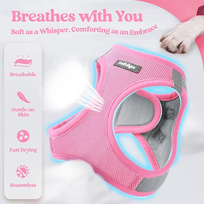 rabbitgoo Dog Harness Small Sized and Leash Set, Step in Soft Light Puppy Vest, Breathable Mesh Pet Harness, Reflective for Safe Easy Walking, Pink & Gray XXS