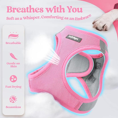 rabbitgoo Dog Harness Small Sized and Leash Set, Step in Soft Light Puppy Vest, Breathable Mesh Pet Harness, Reflective for Safe Easy Walking, Pink & Gray M