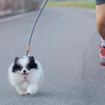 Mile High Life Small Dog Leash, Thin Rope Leash with Genuine Leather Connection and Heavy Duty Metal Clasp, Great for Small Medium Dogs(Blue,60 Inch-1/3)