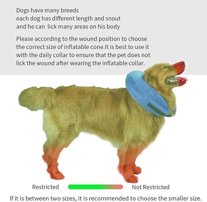 MCHY Inflatable Dog Cone,Adjustable Recovery Collar for Dogs After Surgery,Prevent from Biting & Scratching,Not Block Vision (Blue, M-Neck 10''- 14'')
