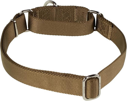 Hyhug Martingale Collar for Dogs Small Yellow |Escape - Proof Heavy Duty Nylon Durable No Buckle, Ideal for Training & Daily Walks