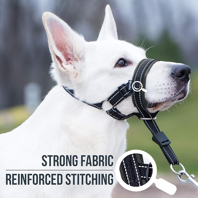 GoodBoy Dog Head Halter with Safety Strap - Stops Heavy Pulling On The Leash - Padded Headcollar for Small Medium and Large Dog Sizes - Head Collar Training Guide Included (Size 2, Black)