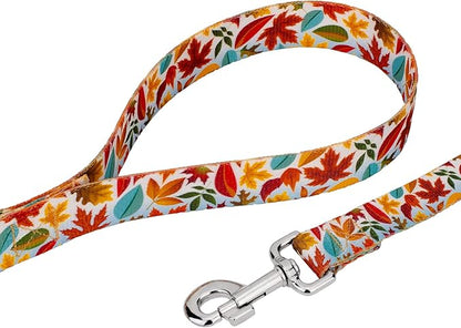 Country Brook Petz - Brisk Autumn Everyday Dog Collar and Leash - Awesome Autumn Collection Featuring Designs You Will Fall for (5/8 Inch, Small)
