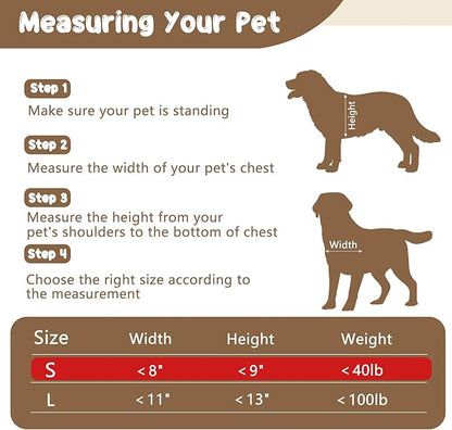 Never Rust Plastic Dog Door with Soft Clear Magnetic Flap and Snap-in Closing Panel, 12x14'' 2-Way Locking Pet Door for Doors and Walls up to 2.17'' Thick, Weatherproof Cat Door, Easy to Install (S)
