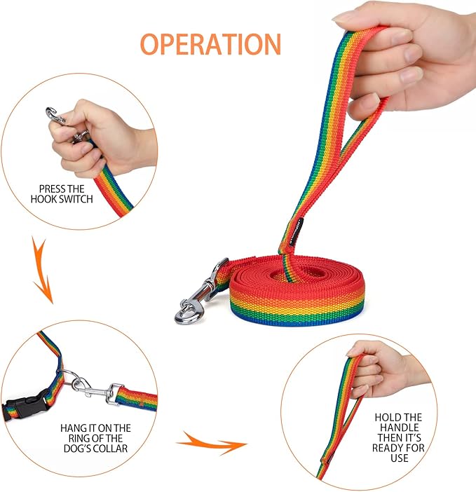 Strong Durable Nylon Dog Training Leash, 1 Inch Wide Traction Rope, 6 ft 10ft 15ft Long, for Small and Medium Dog (Rainbow, 10 Feet)