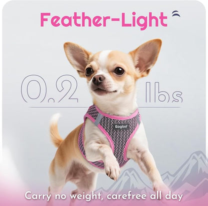 Eagloo Small Dog Harness and Leash Set, Step in Puppy Vest with Breathable Soft Mesh, Walking Reflective Pet Harness for Small Dogs, Pink, XS