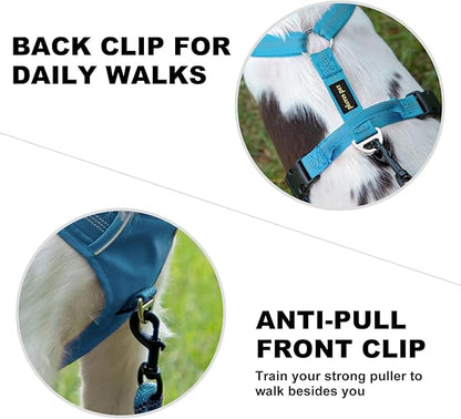 Plutus Pet No Pull Dog Harness, Reflective Adjustable Dog Vest Harness with Handle, Escape Proof, Soft Padded for Small Medium Large Dogs (Light Blue, XS)