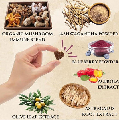 Turkey Tail Mushroom for Dogs - Organic Immune Support Chews - Buddy Health Guard Mushroom Blend - Boosts Immunity, Gut & Joint Health - Natural Chicken Flavor, Grain-Free Supplement - 90 Soft Chews