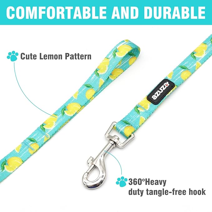 azuza Dog Collar and Leash Set, Lemon Patterns on Blue Nylon Collar and Matching 6ft Leash, Adjustable for Small Dogs