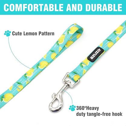 azuza Dog Collar and Leash Set, Lemon Patterns on Blue Nylon Collar and Matching Leash, Great Option for Large Dogs