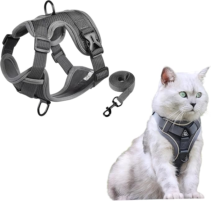 SOLMOONY Small Dog Harness,Soft Mesh Puppy Harness and Leash Set,No Escape Cat Harnesses for Training Walking,Reflective Adjustable Puppy Vest for Small Medium Dogs, Cats (Grey, L)