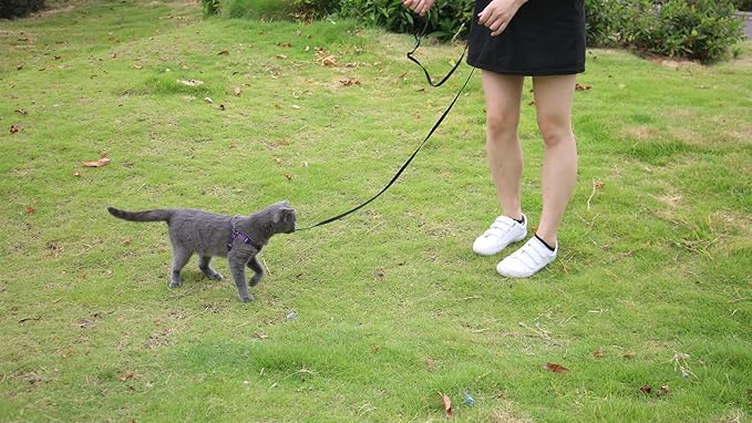 AMAGOOD 6 FT Cat Leash, Strong and Durable Traditional Style Leash with Easy to Use Collar Hook,Cat Lead Great for Cats (3/8 in x 6 ft,Black and Red(2-Pack))