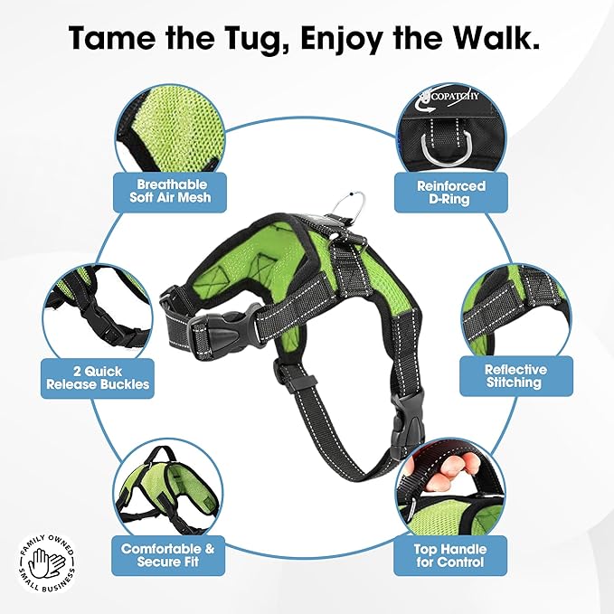 No Pull Reflective Adjustable Dog Harness With Handle- Comfortable Soft All Weather Mesh, Easy On Puppy Harness For Small Medium and Large Dogs (Green) Medium