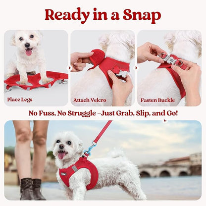 rabbitgoo Dog Harness Small Sized and Leash Set, Step in Soft Light Puppy Vest, Breathable Mesh Pet Harness, Reflective for Safe Easy Walking, Red XS