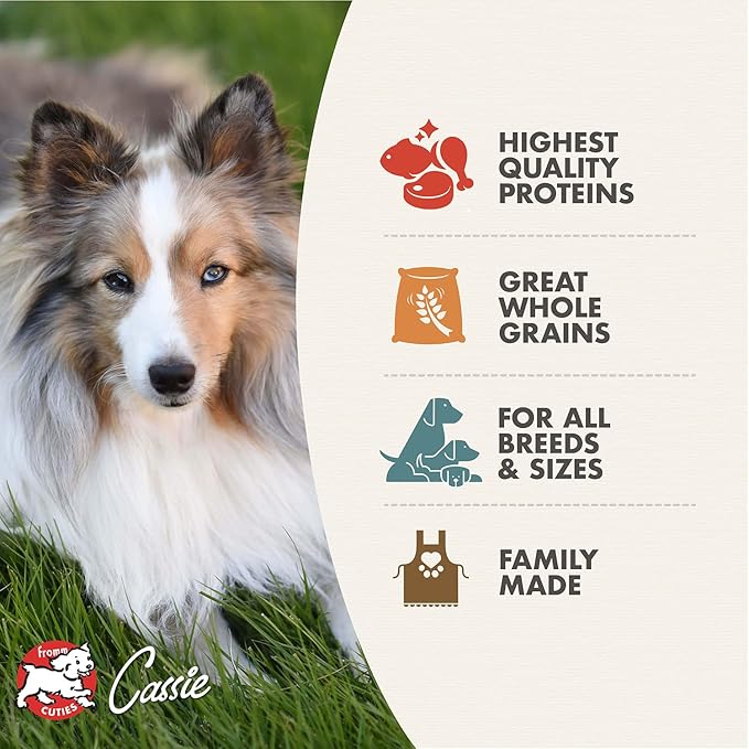 Fromm Adult Gold with Ancient Grains Dog Food - Premium Dry Dog Food - Chicken Recipe - 30 lb