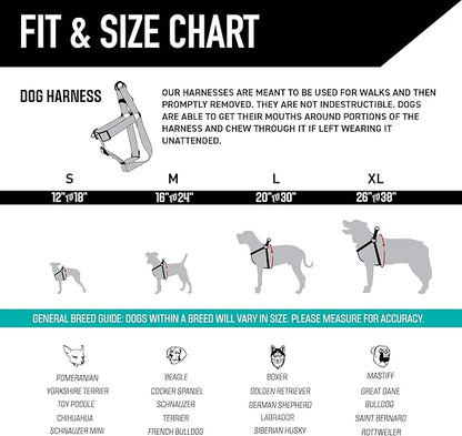 Wolfgang Heavy Duty Adjustable Dog Harness, Pull-Tested to Over 800 lbs for Walking & Training, NewMoon Print, Large