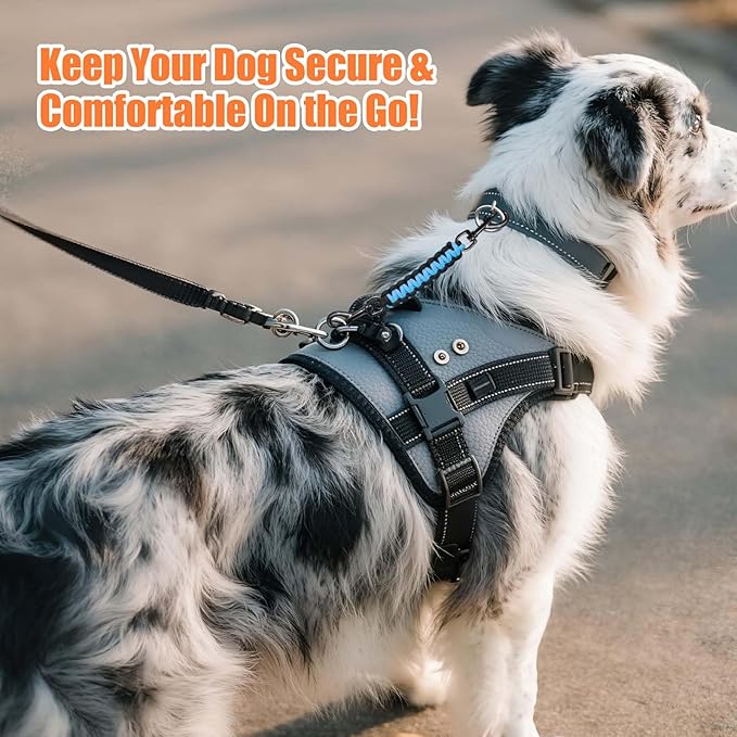 Dog Collar Safety Clip, Collar Companion, Handmade Backup Safety Strap, Double-Ended Clip Leash Connector, Suitable for Dog Harnesses, Prong, Pinch Collars (Black Purple + Black Blue, 2 Pack)