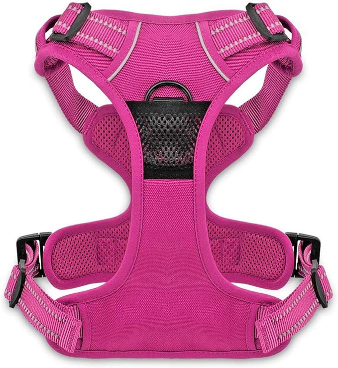Voyager Dog Harness Dual Leash Attachment No-Pull Control Adjustable Soft but Strong Pet Harness for Medium and Large Dogs with 3M Reflective Technology, Fuchsia Nylon, L (Chest: 25-30")