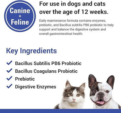 Vet Classics Protegrity EZ Probiotic Health Supplements for Dogs, Cats – Dog Digestive Support, Pet Gastrointestinal Health, Cat Stomach, Intestinal Balance – Pet Enzymes – 4 Oz. Powder