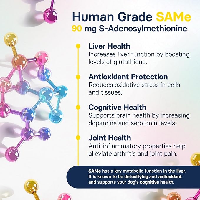 Liver Health Supplement for Small Dogs - Milk Thistle for Dogs Liver Support with S-Adenosylmethionine (Same) & Silybin - 30 Tablets