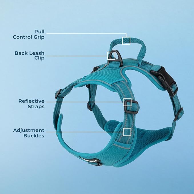 Voyager Dog Harness Dual Leash Attachment No-Pull Control Adjustable Soft but Strong Pet Harness for Medium and Large Dogs with 3M Reflective Technology, Turquoise Nylon, M (Chest: 20-25")