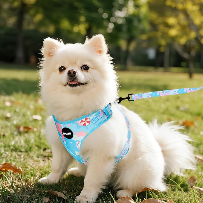 Small Dog Harness and Leash Set of 6, No Pull Soft Lightweight Mesh Puppy Harness， Adjustable Cute Floral Pattern Pet Harness for Small Medium Dogs (Blue Sea, M)