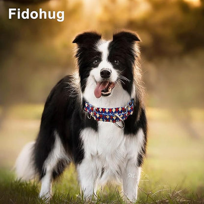 Reflective Martingale Dog Collar with Buckle Soft Nylon Geometric Patterns Pet Collars for Small Dogs (Argyle, S)