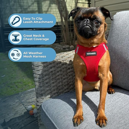 Best Pet Supplies Voyager Step-in Air Harness - All Weather Mesh, Reflective, No Pull Harness for Dogs, Cats - Secure with Hook & Loop Fastener, Buckle, Double D-Rings - Red, XXXS