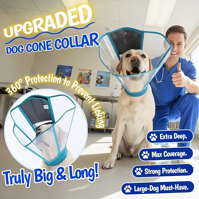Adjustable Deep Dog Cone Collar for Dogs to Stop Licking, Soft Transparet E Collar for Medium Dogs After Surgery, Comfort Wound Recovery Cone with Padding, Foldable & Easy-Clean Pet Cone(Blue-Green,M)