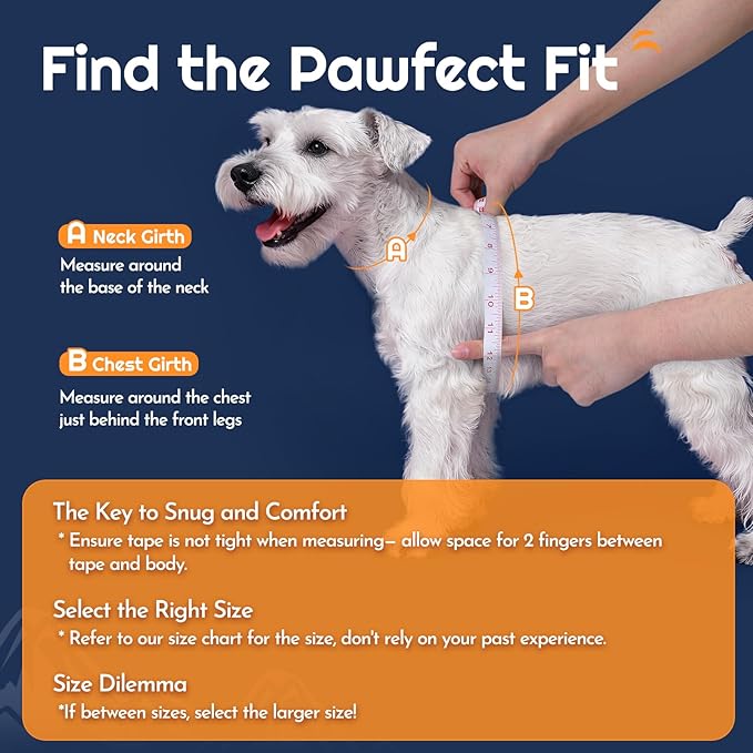 Eagloo Small Dog Harness and Leash Set, Step in Puppy Vest with Breathable Soft Mesh, Walking Reflective Pet Harness for Extra Small Dogs, Navy Blue, XXS